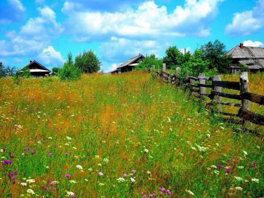Ամառվա գիշերը գյուղում
