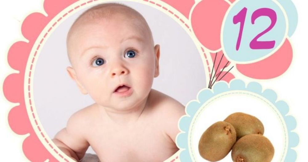 Հղիության տասներկուերորդ շաբաթը