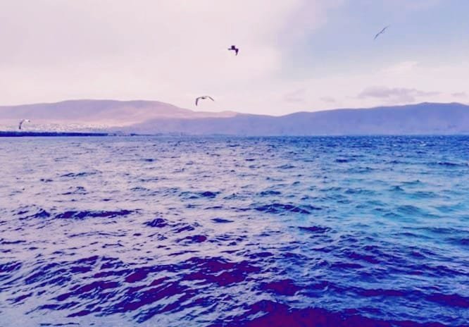 Անկախացանք։ Այնուհետև Անմիջապես աղքատացանք։