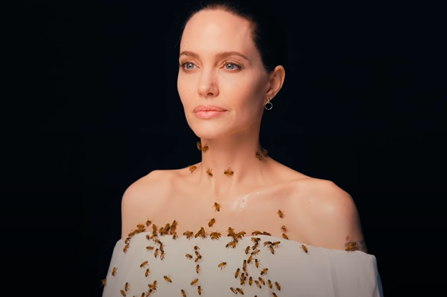 Անջելինա Ջոլին՝ մարմնին մեղուների պարսով