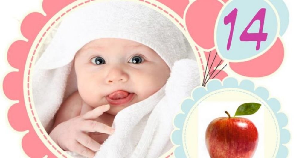 Հղիության տասնչորսերորդ շաբաթը