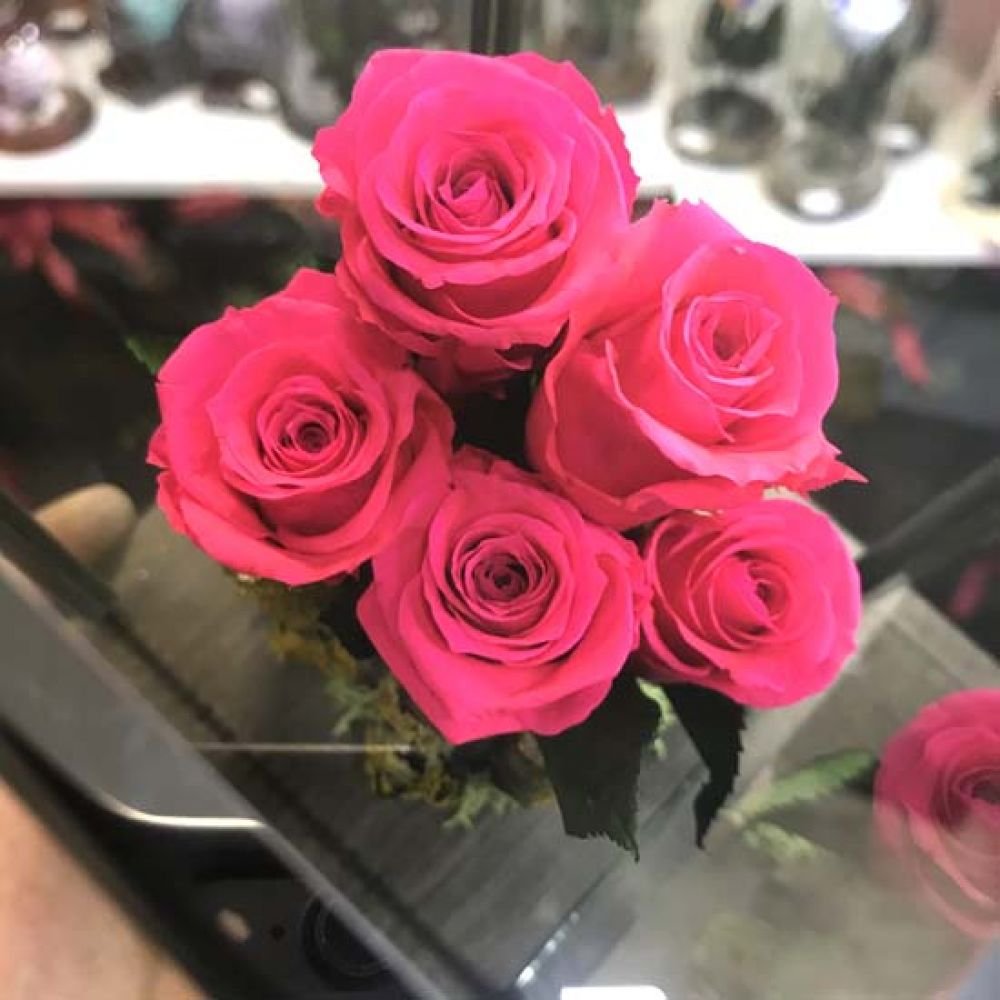 Երկարակյաց վարդեր EmFlowers