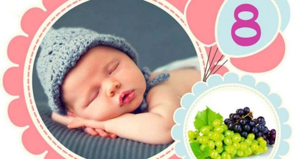 Հղիության ութերորդ շաբաթը